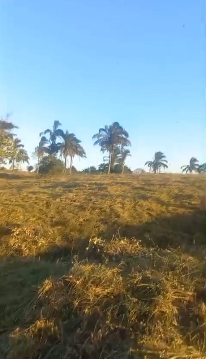 Yopal-Paz De Ariporo, Yopal, Casanare, Colombia 4